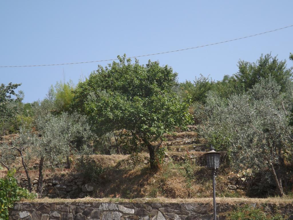 Rifugio Al Sole Villa เรกเจลโล ห้อง รูปภาพ
